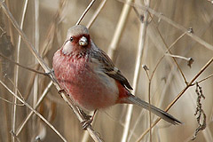 �x�j�}�V�R