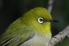 �{�������W��