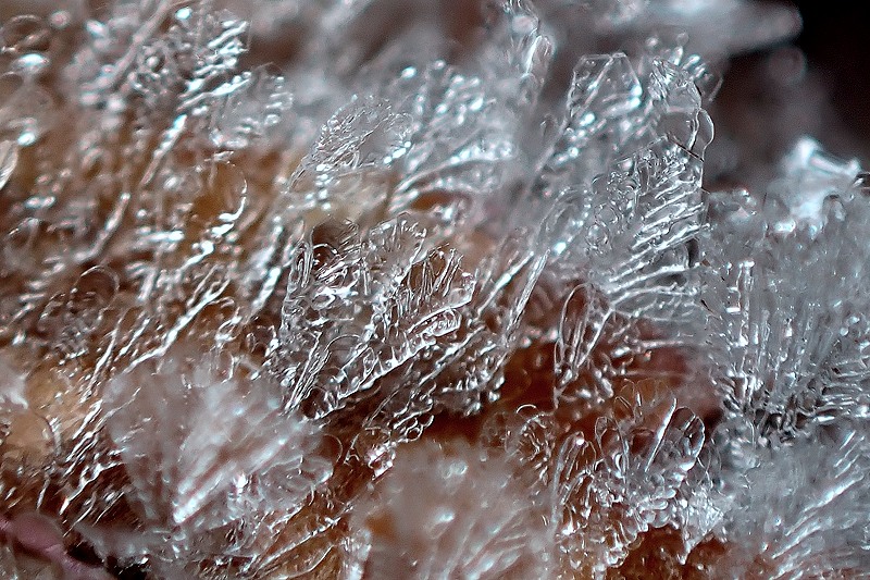霜、樹枝状結晶